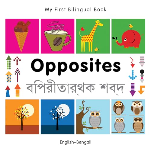 Opposites (My First Bilingual Book)